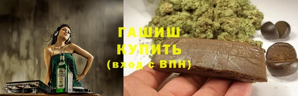 прущие грибы Вязники